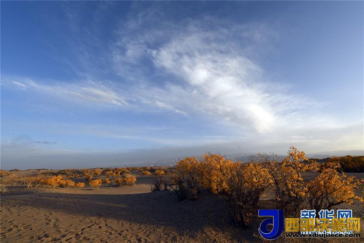 1507517744130881.jpg 1.jpg