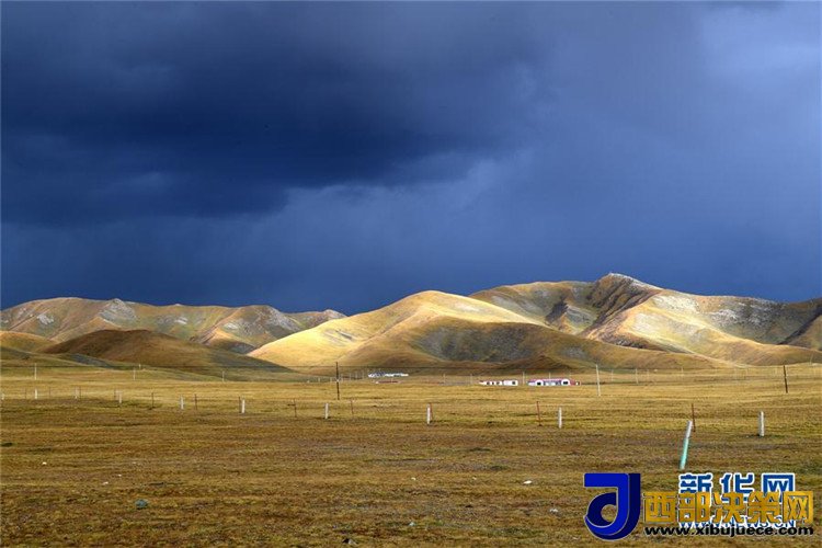 1507517762998767.jpg 3.jpg