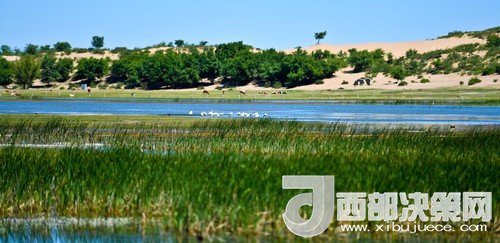 阿魯科爾沁保護區(qū)濕地沙丘。吳勇攝