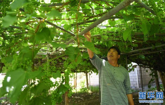 o   ¨      6   èμ°è  è¥ è   o¢é   1  1 è   o·    o3è¥  °     1