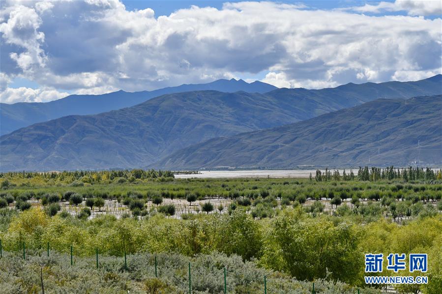 （圖文互動）（4）“今天的生活，就像夢里夢到那樣甜”——寫在西藏百萬農奴解放61周年之際