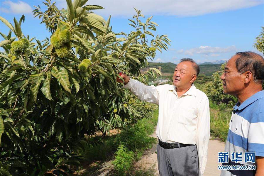 （新華全媒頭條·走向我們的小康生活·圖文互動）（11）長城腳下，小康村串成“珍珠鏈”